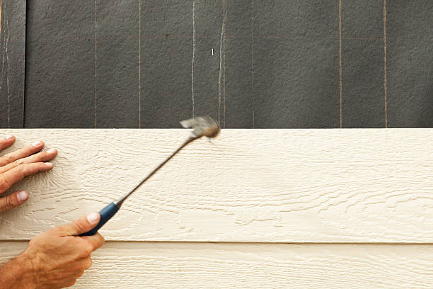 Best Fiber Cement Siding Installation  in Lynwood, CA